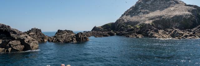 France, Côtes d'Armor (22), Perros-Guirec