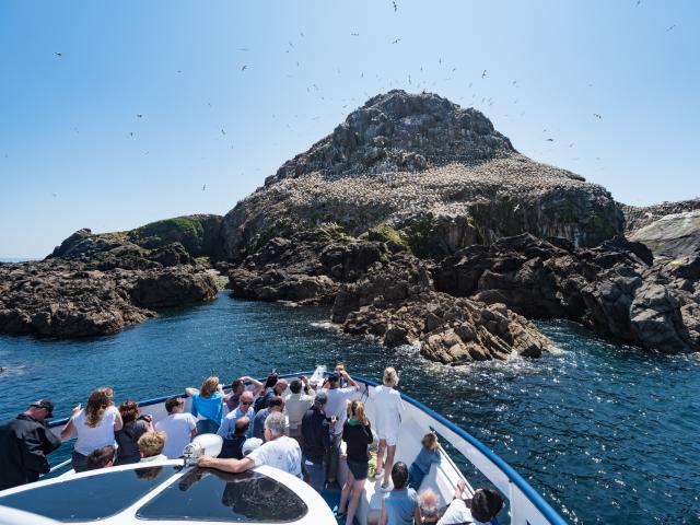 Ile Rouzic - Les 7 Iles à Perros-Guirec | Côtes d'Armor (Bretagne)