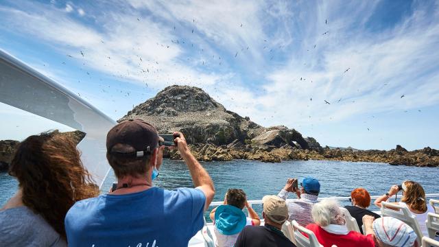 Ile Rouzic - Les 7 Iles à Perros-Guirec | Côtes d'Armor (Bretagne)