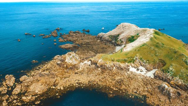 Rouzic | Archipel des Sept-Iles | Perros-Guirec | Côtes d'Armor (Bretagne)