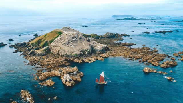 Ile Rouzic | Archipel des Sept-Iles | Perros-Guirec | Côtes d'Armor (Bretagne)