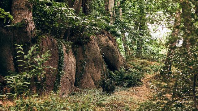 Vallée des Traouiëro à Perros-Guirec - Côtes d'Armor (Bretagne)