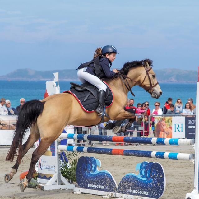 Perros Jump 2019 Jump Pix 1