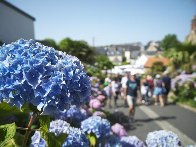 Marché Centre Ville (1)