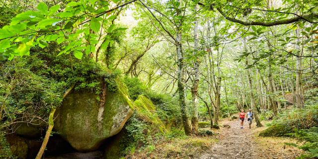 Vallée des Traouïéro | La Clarté | Perros-Guirec | Côtes d'Armor (Bretagne)