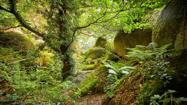 Vallée des Traouïéro | La Clarté | Perros-Guirec | Côtes d'Armor (Bretagne)