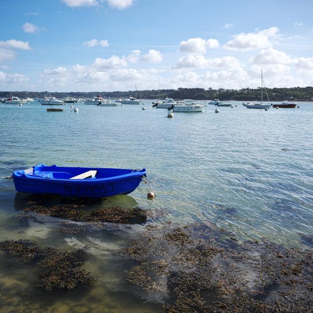 Bassin A Flot Et Zones Mouillage (4)