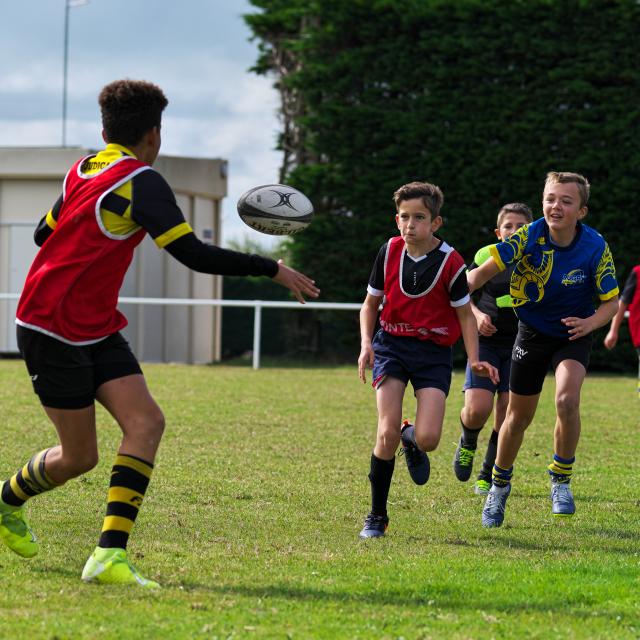 Tournoi Rugby