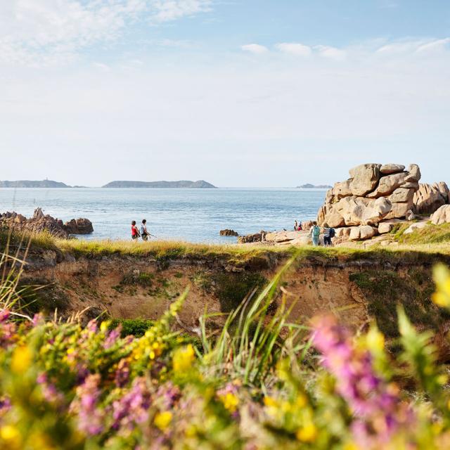 OT - Cote De Granit Rose - GR34, Sentier des Douaniers | Ploumanac'h, Perros-Guirec | Côtes d'Armor (Bretagne)