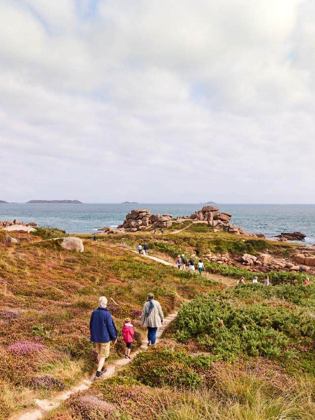 OT - Cote De Granit Rose - GR34, Sentier des Douaniers | Ploumanac'h, Perros-Guirec | Côtes d'Armor (Bretagne)