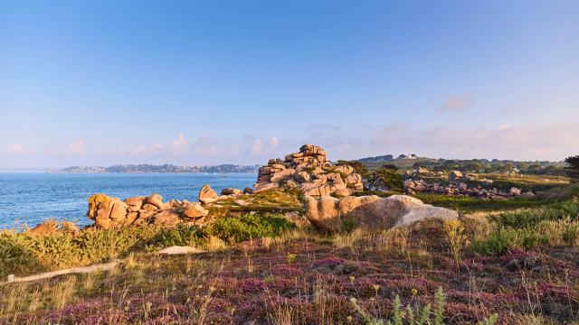 OT - Cote De Granit Rose - GR34, Sentier des Douaniers | Ploumanac'h, Perros-Guirec | Côtes d'Armor (Bretagne)