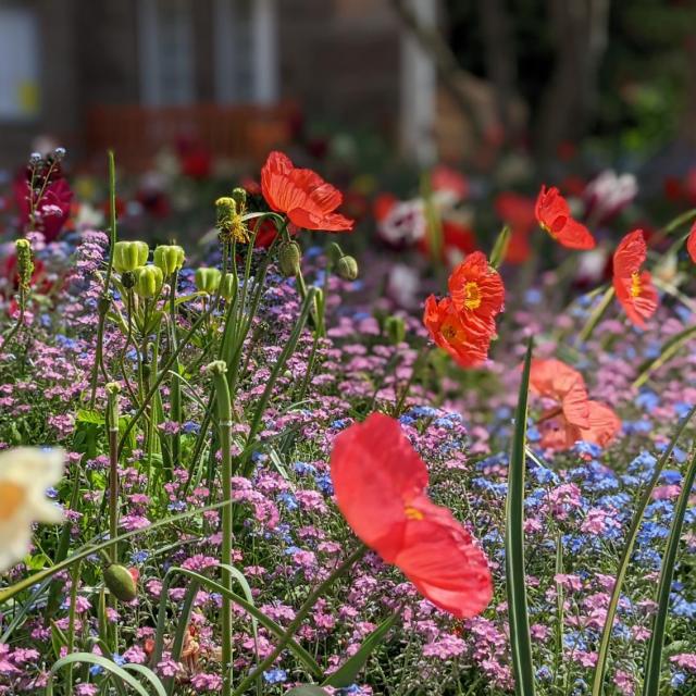 Fleurissement Printemps 2022