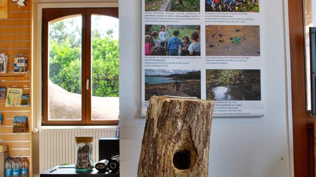 Maison du Littoral, Exposition permanente