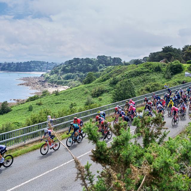 Tour de France, Sport, Cyclisme