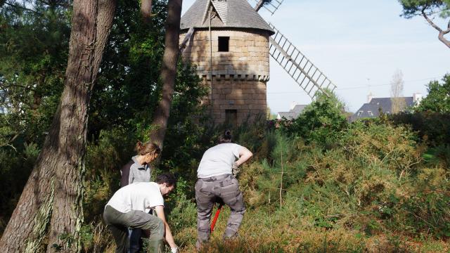 Chantier Moulin du Crach, Maison du Littoral, Chantier nature, garde du littoral