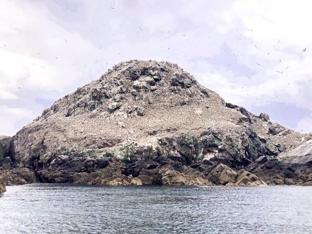 Sept Îles Île Aux Oiseaux | Rouzic