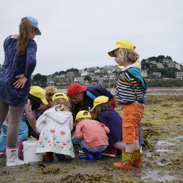 Pêche à Pied, enfants, Arcades, Perros-Guirec, Côtes d'Armor, (22) Bretagne