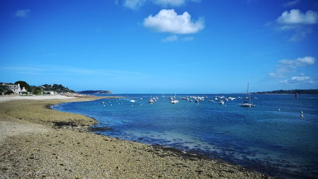 Bassin A Flot Et Zones Mouillage 6